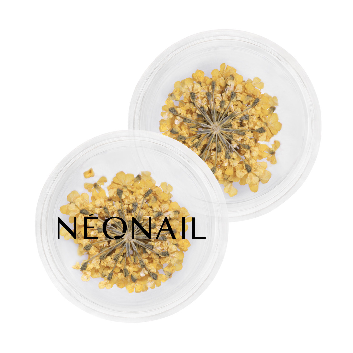 Květinová Dekorace 07| 11088 Květinová Dekorace 07| 11088